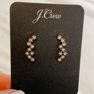 Sparkling earrings